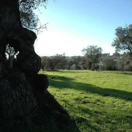 Quinta Do Lagar Da Moira Guest house