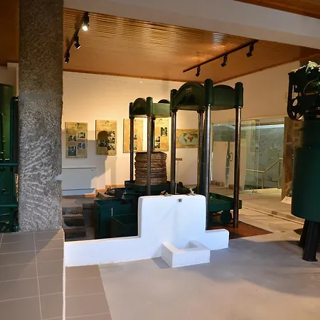 Quinta Do Lagar Da Moira Guest house